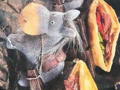 -高玛纳驴肉火烧(河间总店)