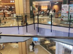 -凤凰汇购物中心