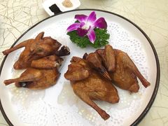 石岐乳鸽-轩记海鲜餐厅·四十五年老字号·经典粤菜(西区彩虹店)