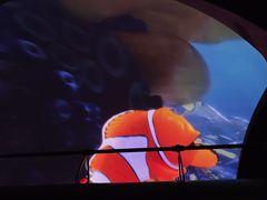 -海底巡游艇:尼莫和好友的海洋世界