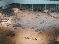 -自贡恐龙博物馆