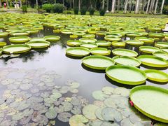 -库玛丽尼泊尔风味餐吧