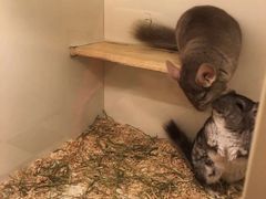 -龙猫仔乐园(惠福东路店)