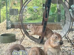 -珠海海泉湾度假区