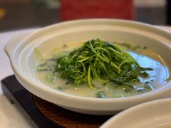 -天福苑(崇宁路店)