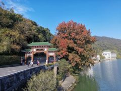 -广东温泉宾馆