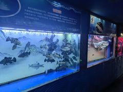 -大明湖海底世界