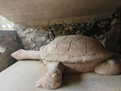 -上海佘山国家森林公园天马山园