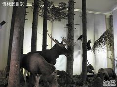 -俄罗斯阿穆尔州地质博物馆