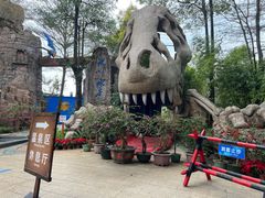 -森波拉火山温泉