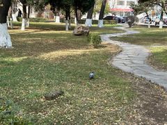 -辽宁大学(崇山校区)