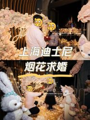 -迈瑞米求婚策划(静安店)