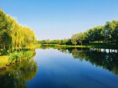 -东郊湿地公园