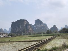 -明仕田园