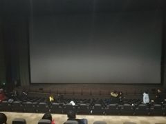 -天幕新彩云国际影城(激光巨幕店)