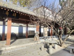 -蔡文姬纪念馆