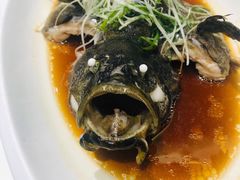 清蒸石斑鱼-潮粤香海鲜酒楼(沙湖店)