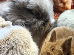 -万达广场(南京江宁店)