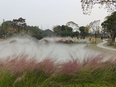-蜀水别园(青杠树店)