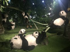 -成都泰迪熊博物馆