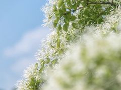 -国家植物园