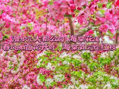 -海棠花溪(元大都城垣遗址公园)