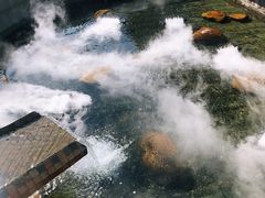 -凤阁楼果木烧鹅(鹤山陈山店)