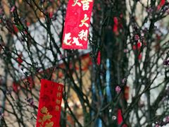 大堂-汕头龙光喜来登酒店-采悦轩中餐厅