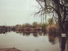 -白鹭湾湿地公园