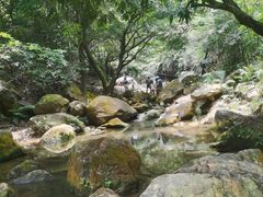 -南海湾森林生态园