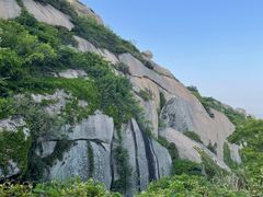 -洋山深水港
