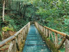 -龙苍沟森林公园