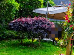 -竹海听涛生态山庄