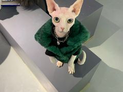 -极木²邸 人与宠物·互动社区