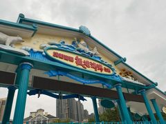 -海合安成都极地海洋公园