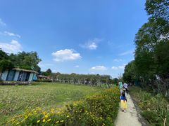 -洪湖家庭农场·团建·露营·会议