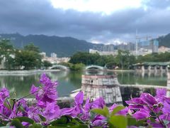 -大梅沙海滨公园