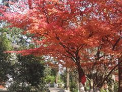 -吴山景区