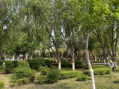 -伊犁河风景区