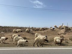-青海湖国家重点风景名胜区