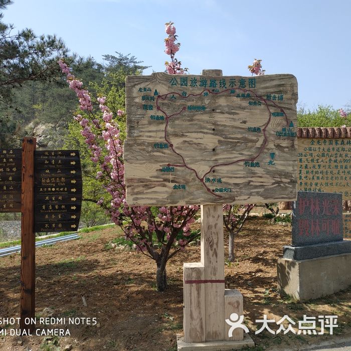 金龍寺國家森林公園