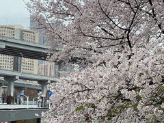 -南浦大桥长途旅游客运站