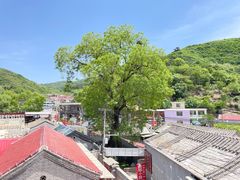 -三岔涧农家乐