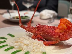 清蒸澳龙-荣轩(新荣记环球金融中心店)