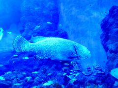 -成都浩海立方海洋公园