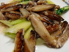 -新光酒家·河豚·海鲜·蟹料理(浦东店)