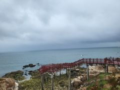 -养马岛旅游度假区
