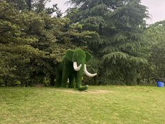 -南山植物园