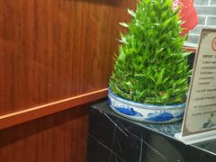 -裕和堂中医推拿艾灸(太古汇臻品店)