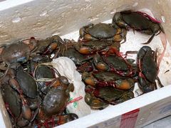 -凤凰路何眼镜香辣蟹(花果园店)